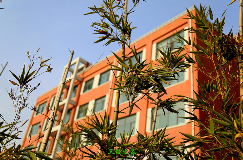 河西学院师资如何_就业率怎么样