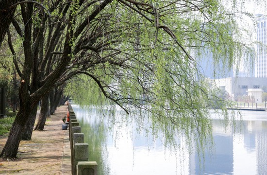 浙江医药高等专科学校寝室宿舍条件与学校食堂环境图片