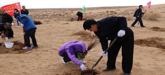 阿拉善职业技术学院地址在哪里