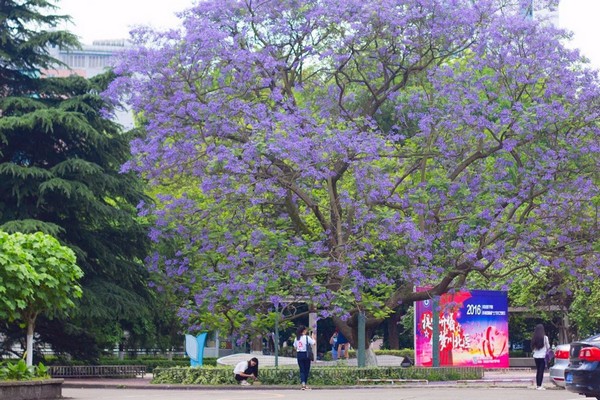 川北医学院招生老师QQ及电话