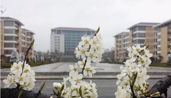 贵州省医科大学寝室宿舍条件与学校食堂环境图片