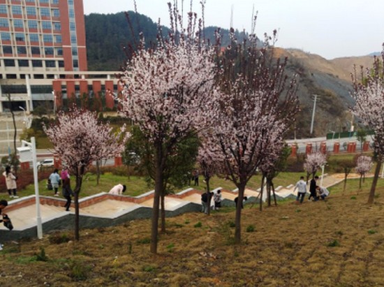 遵义医药高等专科学校招生老师QQ及电话